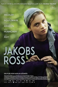  Когда поёт душа 